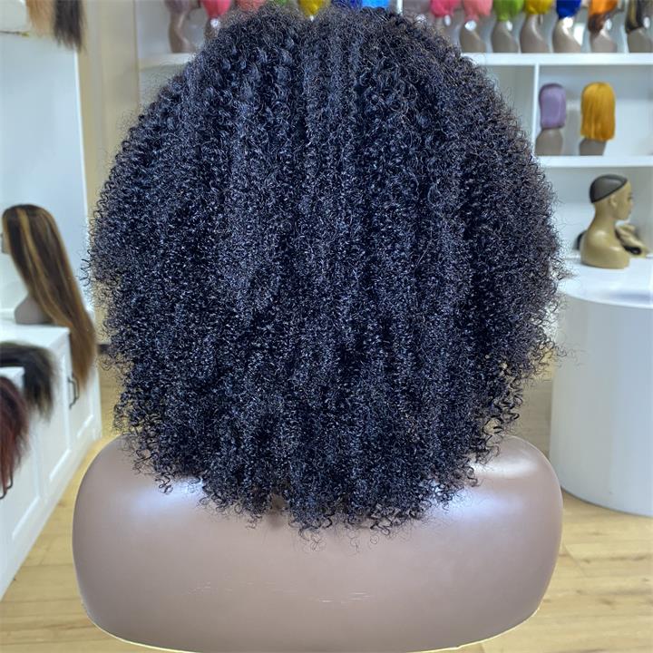 Short Kinky Curly Wigs for Black Women Black Curly Lace Front Wigs Human Hair Pre Plucked 180% Density - Geeta Hair