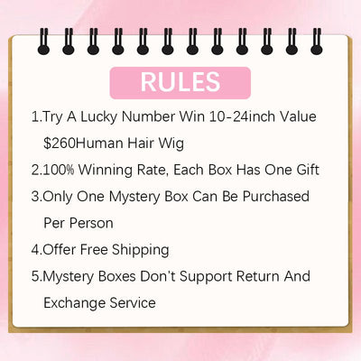 Geeta $69 Win 10 - 24 Inch Lace Frontal Wig Valued $260 Super Mystery Box! Only 7 sets! - GeetaHair