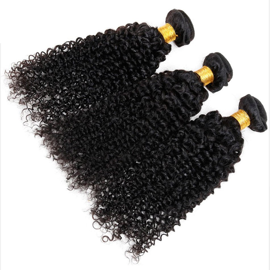 GeetaHair Black Curly Hair 3 Bundles with 4x4 Lace Closure 100% Virgin Human Hair Weave - GeetaHair